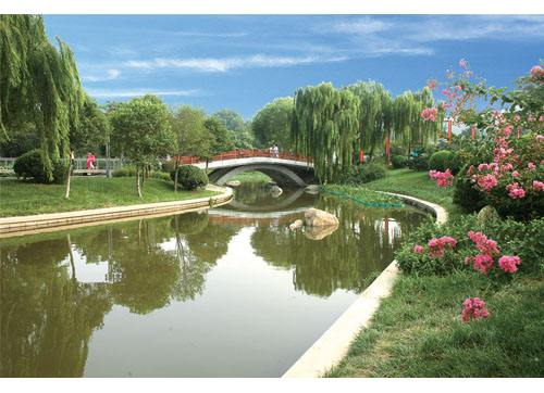 生态综合治理 1