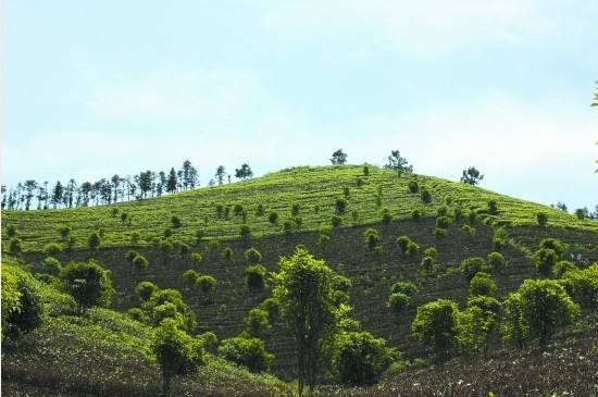 生态综合治理 2